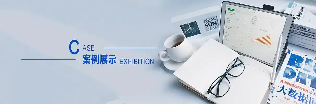 裕安区软件开发